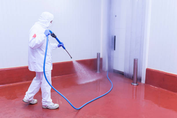 Best Driveway Pressure Washing  in Prosser, WA